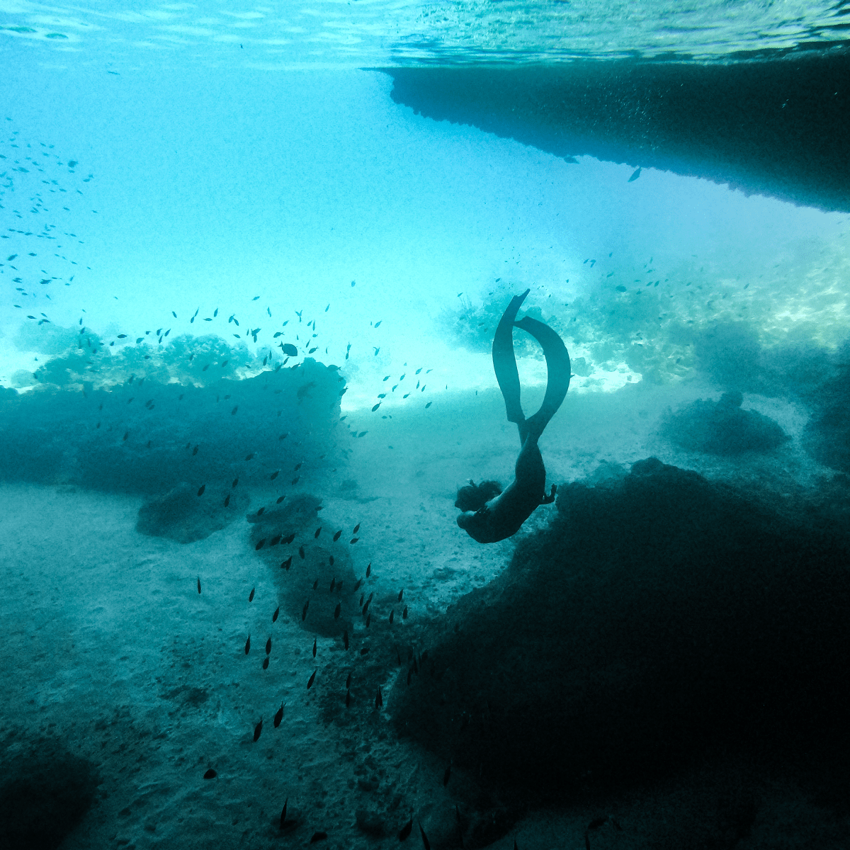 Poca Santa Cruz&nbsp;/Curacao